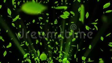 落叶的<strong>旋转</strong>。 绿色夏叶背景.. 树叶纸屑。 CG循环动画。